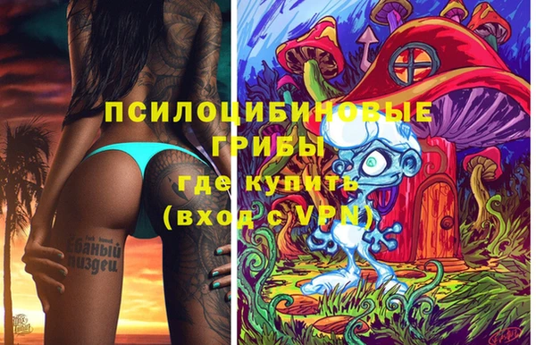 МДПВ Кинешма